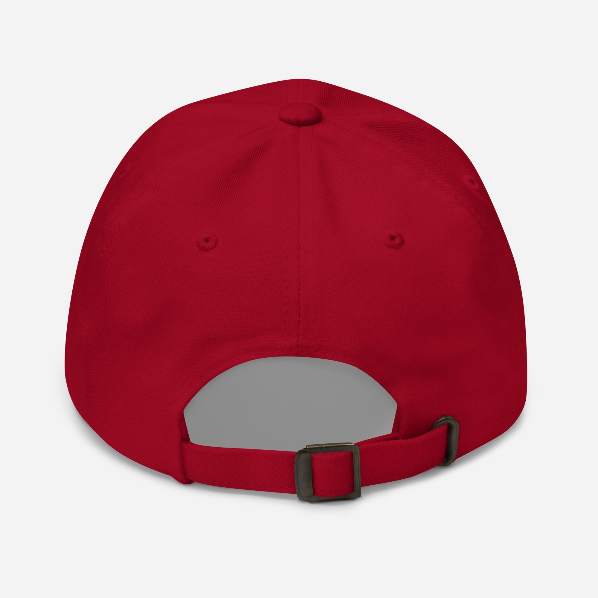 AA RWB Dad Hat - Image 18